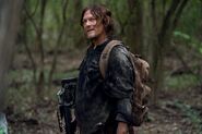 10x17 Daryl