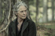 11x24 Carol (AT)