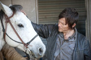 Daryl 3x13 2