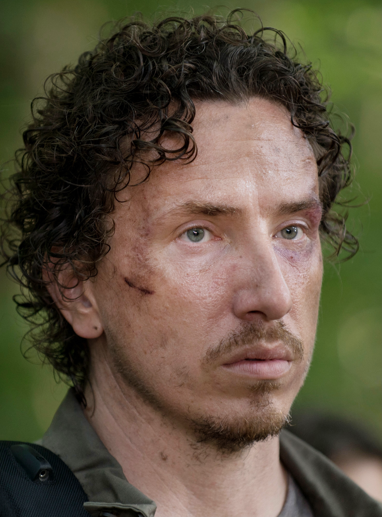 Nicholas (TV Series), Walking Dead Wiki