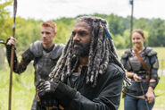 TWD 7x10 Kingdom Group