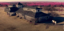 Paperno Equine Veternary Clinic