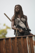 AMC 610 Michonne on Watch