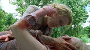 Walking-dead-season-1-5-wildfire-andrea-amy