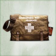 Walking Dead Two Person Survival Kit 2