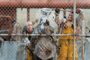 The-walking-dead-episode-711-walker-sanctuary-935