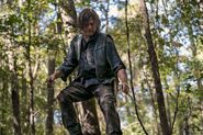 10x21 Daryl Scavenging