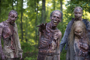 AMC 601 Walkers Woods.png (9,23 МБ)