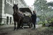 Daryl Dixon 1x02 Daryl and Horse