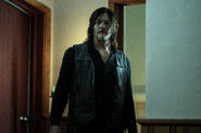 11x19 Bodyguard Daryl