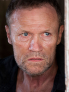 Merle3x15