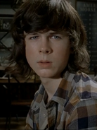 5x12 Carl