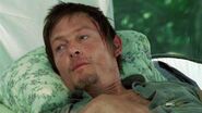 Daryl-Dixon-daryl-dixon-27182984-500-281