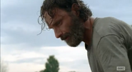 Rick Grimes (93)