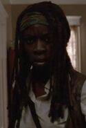 Claimed Michonne 6