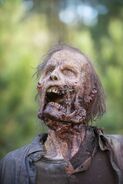 Walking-dead-zombie1