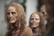 AMC 609 Walkers ASZ