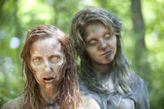 Ep7 Walkers