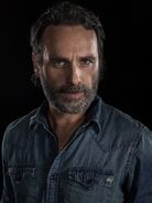 Normal TWD8 ICON Andrew 3660-RT