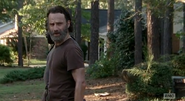 Rick Grimes (44)