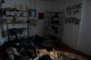 TWD 4x12 Dogtrot