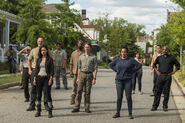 TWD 708 AMC