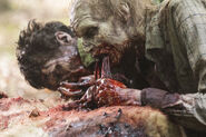 The-walking-dead-episode-806-walkers-935