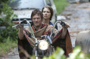 Maggie Daryl