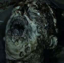 Quiet Subway Walker Subway Tunnel When the Wardens and Alexandrians are going through the subway tunnels during a storm to get to Meridian, Daryl finds this walker in a plastic bag and the walker tries to get Daryl. Daryl kills the walker and Roy asks why the walker made no noise. Gabriel says it's because his throat had been slashed very deep. It proves to be a part of a mass grave of walkers.