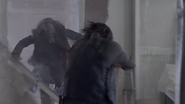 Beta vs Daryl (1)