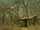 John's Cabin
