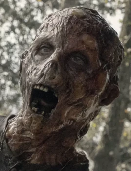 Season five michael sherman