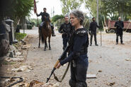 Carol Peletier Leads 7x16