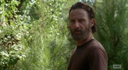 Rick Grimes (74)