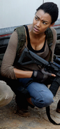 Sasha Williams Season 6