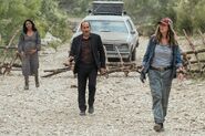 FTWD 6x09 Reunited