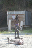 TWD 3x05 Michonne