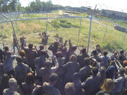 TWD 4x02 Clearing