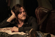 11x24 Black Eyed Daryl