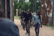 TWD 9x08 Arrival