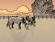 Horse 1 Deluxe.jpg (20 KB) Issue 10