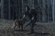 11x04 Dog and Daryl