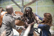 Michonne VS Walker