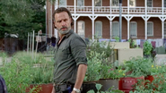 Rick Grimes 709 