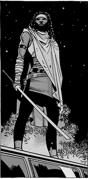 Michonne 100x8.png