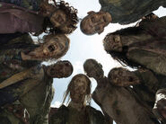 The-Walking-Dead-circle-of-zombies