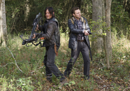 AMC 515 Daryl Aaron Woods