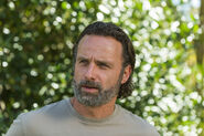 Rick Grimes 3 7x12