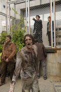 TWD 4x10 Distraction