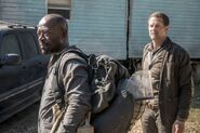 Normal FTWD 401 RF 1201 0339-RT-min